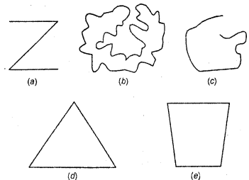 HBSE 6th Class Maths Solutions Chapter 4 Basic Geometrical Ideas Ex 4.2 1