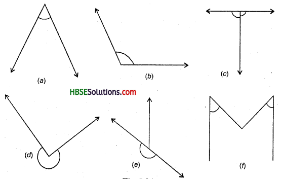HBSE 6th Class Maths Solutions Chapter 5 Understanding Elementary Shapes Ex 5.3 1