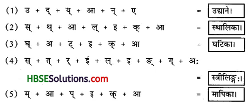 HBSE 6th Class Sanskrit Solutions Ruchira Chapter 2 शब्द परिचयः 2-4