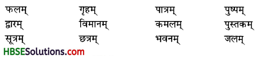 HBSE 6th Class Sanskrit Solutions Ruchira Chapter 3 शब्द परिचयः 3-1