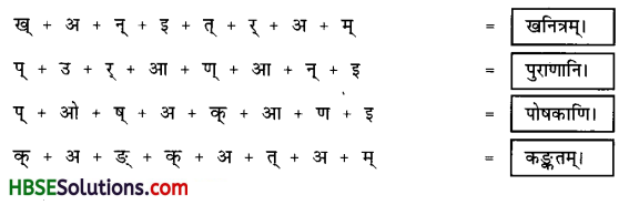 HBSE 6th Class Sanskrit Solutions Ruchira Chapter 3 शब्द परिचयः 3-4