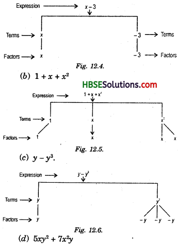 HBSE 7th Class Maths Solutions Chapter 12 Algebraic Expressions Ex 12 (1)