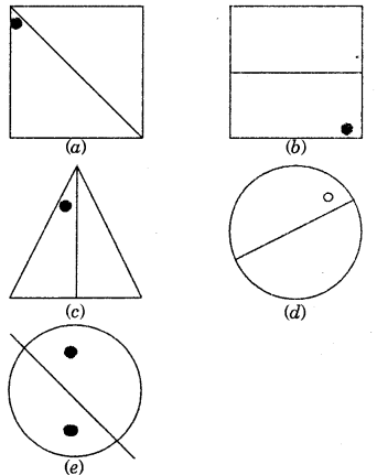 HBSE 7th Class Maths Solutions Chapter 14 Symmetry Ex 14.1 2