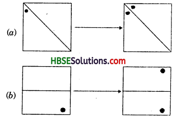 HBSE 7th Class Maths Solutions Chapter 14 Symmetry Ex 14.1 3
