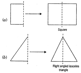 HBSE 7th Class Maths Solutions Chapter 14 Symmetry Ex 14.1 6