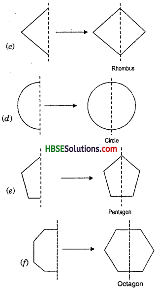 HBSE 7th Class Maths Solutions Chapter 14 Symmetry Ex 14.1 7