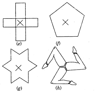 HBSE 7th Class Maths Solutions Chapter 14 Symmetry Ex 14.2 3