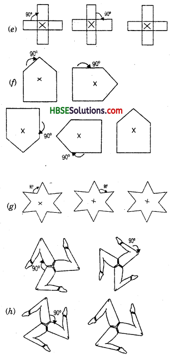 HBSE 7th Class Maths Solutions Chapter 14 Symmetry Ex 14.2 5