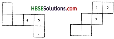 HBSE 7th Class Maths Solutions Chapter 15 Visualising Solid Shapes Ex 15.1 4
