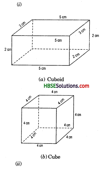 HBSE 7th Class Maths Solutions Chapter 15 Visualising Solid Shapes Ex 15.2 5