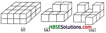 HBSE 7th Class Maths Solutions Chapter 15 Visualising Solid Shapes InText Questions 10