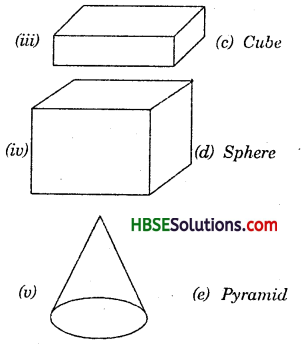 HBSE 7th Class Maths Solutions Chapter 15 Visualising Solid Shapes InText Questions 2