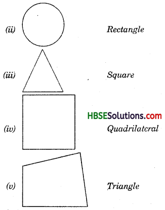 HBSE 7th Class Maths Solutions Chapter 15 Visualising Solid Shapes InText Questions 5