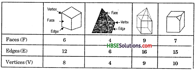 HBSE 7th Class Maths Solutions Chapter 15 Visualising Solid Shapes InText Questions 6