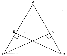 HBSE 7th Class Maths Solutions Chapter 7 Congruence of Triangles InText Questions 20