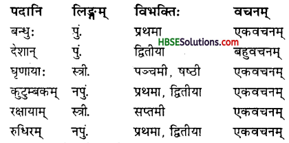 HBSE 7th Class Sanskrit Solutions Ruchira Chapter 10 - 2