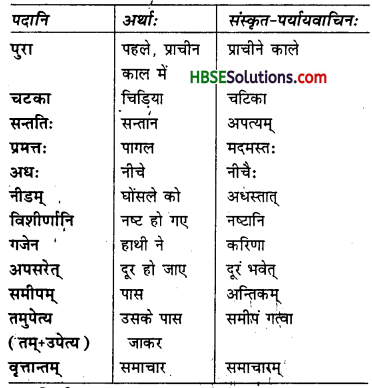 HBSE 7th Class Sanskrit Solutions Ruchira Chapter 11 समवायो हि दुर्जयः - 3