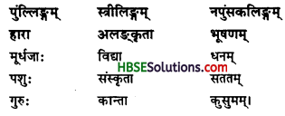 HBSE 7th Class Sanskrit Solutions Ruchira Chapter 12 विद्याधनम् -4