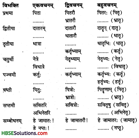 HBSE 7th Class Sanskrit Solutions Ruchira Chapter 14 अनारिकायाः जिज्ञासा -1
