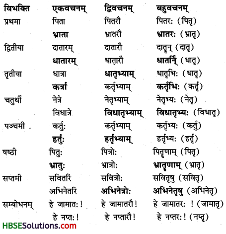 HBSE 7th Class Sanskrit Solutions Ruchira Chapter 14 अनारिकायाः जिज्ञासा -2