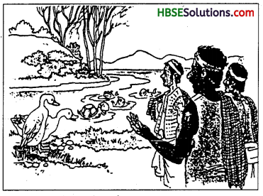 HBSE 7th Class Sanskrit Solutions Ruchira Chapter 2 दुर्बुद्धिः विनश्यति-1