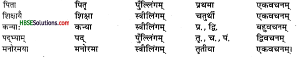 HBSE 7th Class Sanskrit Solutions Ruchira Chapter 5 पण्डिता रमाबाई-3