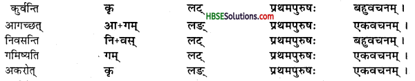 HBSE 7th Class Sanskrit Solutions Ruchira Chapter 5 पण्डिता रमाबाई-5