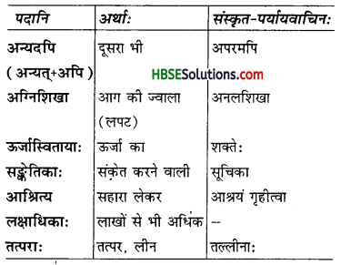 HBSE 7th Class Sanskrit Solutions Ruchira Chapter 8 त्रिवर्णः ध्वजः-6