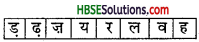 HBSE 8th Class Hindi Vyakaran वर्ण-विचार उच्चारण और वर्तनी-6.4