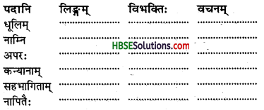 HBSE 8th Class Sanskrit Solutions Ruchira Chapter 11 सावित्री बाई फुले - 1
