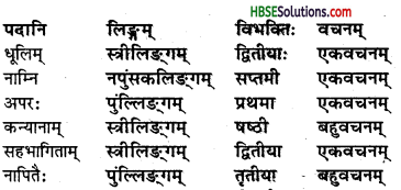HBSE 8th Class Sanskrit Solutions Ruchira Chapter 11 सावित्री बाई फुले - 2