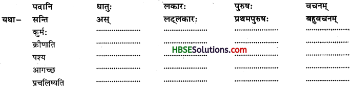 HBSE 8th Class Sanskrit Solutions Ruchira Chapter 12 कः रक्षति कः रक्षितः - 2