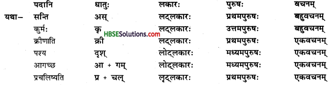 HBSE 8th Class Sanskrit Solutions Ruchira Chapter 12 कः रक्षति कः रक्षितः - 3