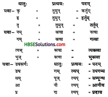 HBSE 8th Class Sanskrit Solutions Ruchira Chapter 8 संसारसागरस्य नायकाः - 2