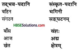 HBSE 8th Class Sanskrit Solutions Ruchira Chapter 9 सप्तभगिन्यः - 4
